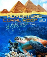 Смотреть Онлайн Коралловый риф 3D: Подводный мир Египта / Adventure coral reef 3D: Under the sea of Egypt [2012]